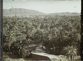 Image représentant La palmeraie et le village de Zenaga