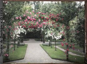 Image représentant Axe central du verger-roseraie vu depuis le second carrefour avant la dépendance