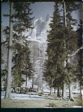 Image représentant France Les Alpes, Vallée de Chamonix, Du Village des Bois ; l'Aiguille Verte et l'Aiguille du Dru à travers les Sapins