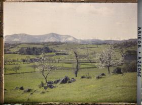 Image représentant Les grands cirques avec au premier plan, deux cerisiers sauvages en fleurs