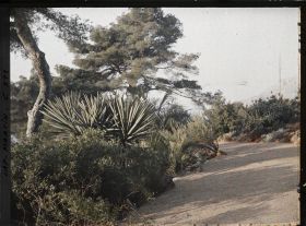 Image représentant Cap Martin Le Jardin