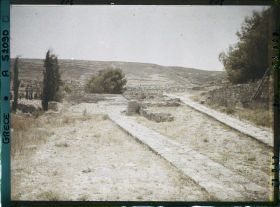 Image représentant La voie royale qui mène au théâtre et au palais