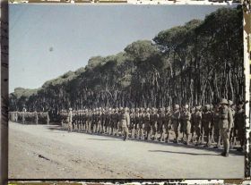 Image représentant Troupes indiennes de l'armée britannique alliée passée en revue dans le bois des Pins par le général Gouraud, haut-commissaire de la République française