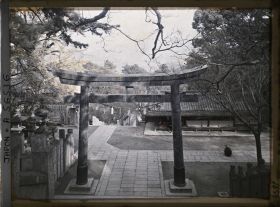Image représentant Sanctuaire Kotohira-gu (ou Konpira-san) : torii