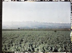 Image représentant Vue vers la chaîne du Mont Liban