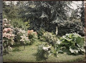 Image représentant Massif de rhododendrons et d'azalées en fleurs bordant l'est du marais