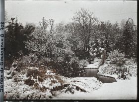 Image représentant Végétation sous la neige bordant " l'étang " le plus au nord du marais, vu en direction du nord-est
