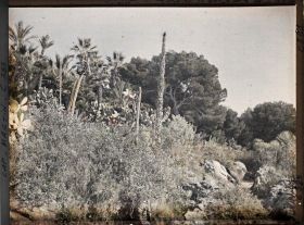 Image représentant Cap Martin Le Jardin