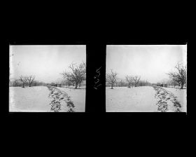 Image représentant Ming Shisanling ("Treize Tombeaux des Ming"). Shendao ("voie de l'Ame") recouverte de neige