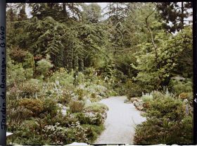Image représentant Chemin fleuri du " sanctuaire japonais " non loin du sôrintô, menant au verger-roseraie