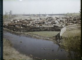Image représentant Canada, Calgary, Stockyards - Parc à Bétail  autre vue