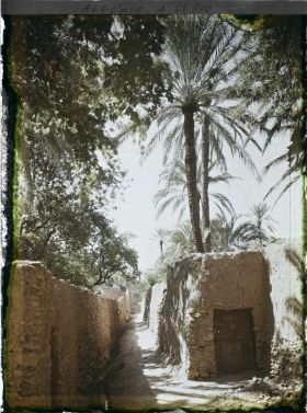 Image représentant Jardins enclos de l'oasis