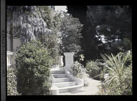 Image représentant Allée au pied du perron fleuri de la villa Miramar, bordée de plantes exotiques et de fleurs, vue prise à 9 h