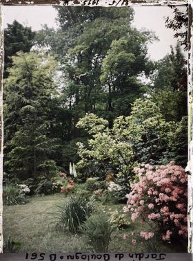 Image représentant Massif fleuri du marais, vu vers le sud-ouest ?