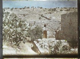 Image représentant Vestiges de la demeure de Marie-Madeleine et de Marthe à Bethanie
