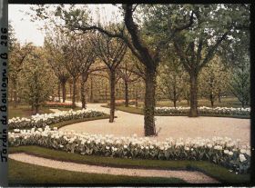 Image représentant Le verger-roseraie vu depuis le parterre nord-ouest du rond-point proche de la dépendance