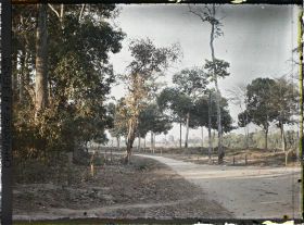 Image représentant Sur la route aux abords du temple d'Angkor Vat