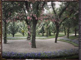 Image représentant Partie du verger-roseraie vue en direction du sud-est, depuis le rond-point proche de la dépendance