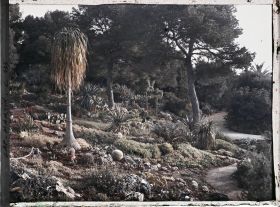 Image représentant Le jardin