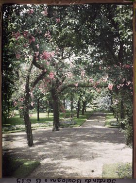 Image représentant Rond-point du verger-roseraie proche de la dépendance, sur une allée menant à la forêt bleue