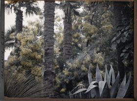 Image représentant Cap-Martin - Mimosas - Le Jardin