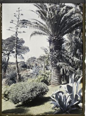 Image représentant Partie de jardin située non loin de la villa Kahn, encore appelée villa Zamir