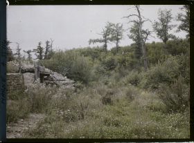 Image représentant France, Binarville (Meuse), Ravin du ruisseau de la vallée Moreau