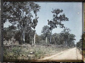 Image représentant Un panorama sur les terrasses royales, dites " terrasses des éléphants "