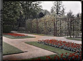 Image représentant Parterres de tulipes du jardin français, situés à proximité du verger-roseraie