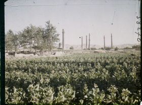 Image représentant Afghanistan, Hérat, Vue s/ les minarets de la gde mosquée