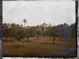Image représentant Les jardins du Dar el Maghzen