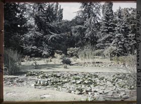 Image représentant les étangs du marais