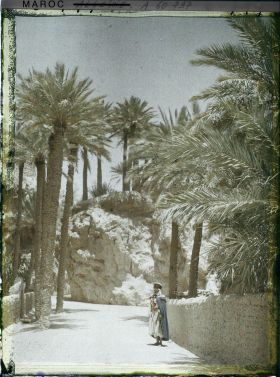 Image représentant L'entrée de la palmeraie