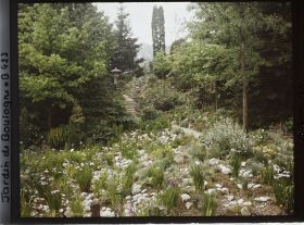 Image représentant Lanterne en haut d'un chemin escarpé du " jardin chinois " précédé d'un espace pierreux et herbacé