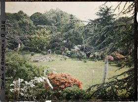 Image représentant Eremurus et arbustes en fleurs situés non loin du marais, vus en direction du nord, nord-est