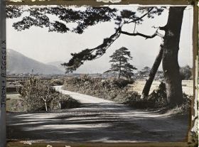 Image représentant route et paysage de campagne