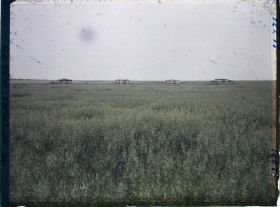 Image représentant France, La Targette, Quatre abris d'Artillerie émergeant de la plaine couverte de moissons
