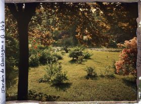 Image représentant Pavots, Erémurus et azalées en fleurs longeant les bassins au sud-ouest du marais