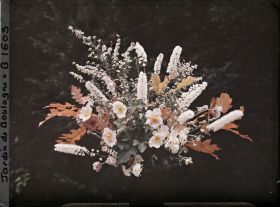 Image représentant Bouquet automnal de fleurs et de feuilles, photographié en extérieur sur un fond d'arbustes