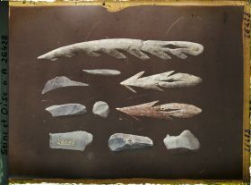 Image représentant France, St Germain-en-Laye, Musée : Grotte du Mas d'Azil, Couche des galets Coloriés; harpons en bois de Cerf; Burins, pointes et grattoirs