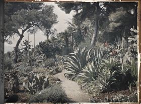 Image représentant Cap Martin Le Jardin