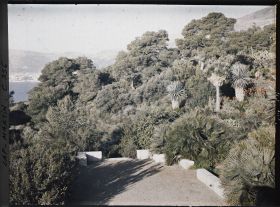 Image représentant Bout ouest de la terrasse inférieure et jardin situé en contrebas de la villa Kahn, dite villa Zamir