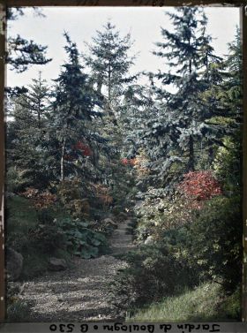 Image représentant Érable rouge au bord d'un chemin du " sanctuaire japonais ", encore proche du " village japonais "