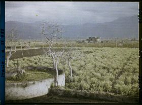 Image représentant Vue prise de la route vers l'Ouest sur le chemin vers Pompéi