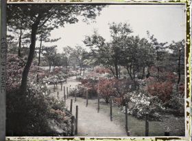 Image représentant Hibiya-koen (parc de Hibiya), allée bordée d'azalées
