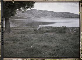 Image représentant Espagne, Aranjuez, La Mar de Ontigola avec le Village d'Ontigola dans le lointain