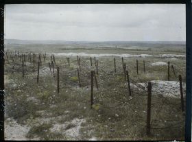 Image représentant France, Tranchée et barbelés en venant du Mont Casque