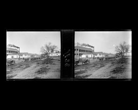 Image représentant Une caravane de chameaux de Bactriane sur Wangfujing dajie (&quot;avenue du Puits des Résidences Princières&quot;)