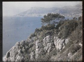 Image représentant Cap-Martin - Le Jardin
