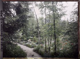 Image représentant La prairie et la forêt dorée